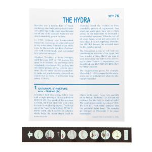 The Hydra Microslide