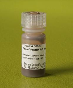Pierce™ Protein A/G Magnetic Beads, Thermo Scientific
