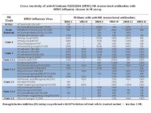 Anti-H5N1 Mouse monoclonal antibody [clone: 3G2]