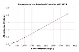 Representative standard curve for human VE-PTP ELISA kit (A313474)