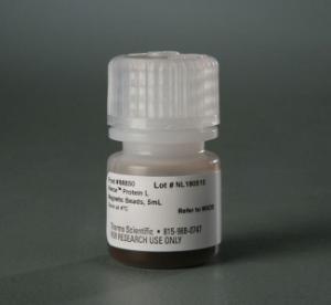 Pierce™ Protein L Magnetic Beads, Thermo Scientific
