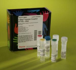 Pierce™ 1-Step Human<i> In Vitro</i> Protein Expression Kits, Thermo Scientific