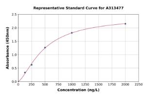 Representative standard curve for human Nav16/SCN8A ELISA kit (A313477)