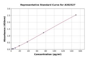 Representative standard curve for Human Interferon gamma ELISA kit (A302527)