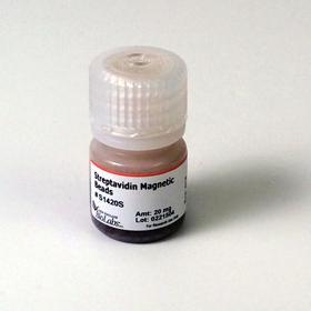 Streptavidin Magnetic Beads - 5 ml