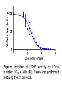 Human Lactate Dehydrogenase A Inhibitor Screening Kit (Colorimetric), Biovision, Inc.
