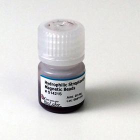 Hydrophilic Streptavidin Magnetic Beads - 5 ml