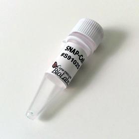 SNAP-Cell 647-SiR - 30 nmol