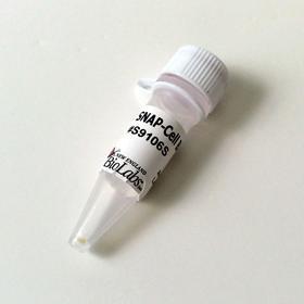 SNAP-Cell Block - 100 nmol