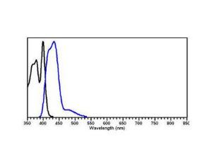 Anti-GST Mouse Polyclonal Antibody [clone: 3D4] (DyLight® 405)