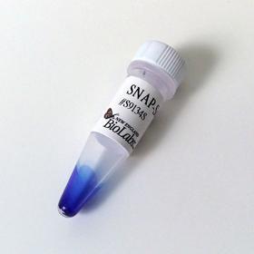 SNAP-Surface 594 - 50 nmol