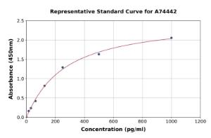 Representative standard curve for Porcine IL-17A ELISA kit (A74442)