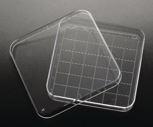 Square Petri Dish with Grid, Simport