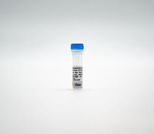 Human Recombinant MegaCD40L™ (soluble) (from CHO Cells)