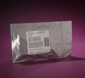 Pierce™ iodoTMTsixplex™ Isobaric Label Reagent Set, Thermo Scientific