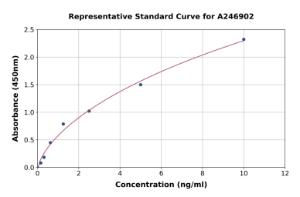 Representative standard curve for Human TOMM20 ELISA kit (A246902)