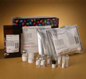 Pierce™ TMT10plex™ Isobaric Mass Tag Labelling Kit and Reagent Sets, Thermo Scientific