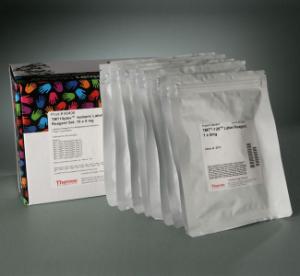 Pierce™ TMT10plex™ Isobaric Mass Tag Labelling Kit and Reagent Sets, Thermo Scientific