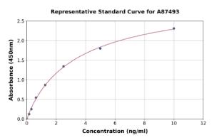 Representative standard curve for Human Sp7/Osterix ELISA kit (A87493)
