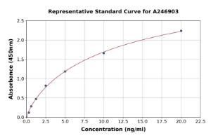 Representative standard curve for Human TRA2B/SFRS10 ELISA kit (A246903)