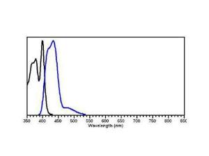 Anti-IgG Rabbit polyclonal antibody (DyLight® 405)