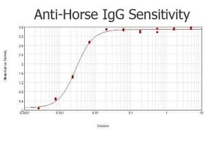 Anti-IgG Rabbit polyclonal antibody (HRP (Horseradish Peroxidase))
