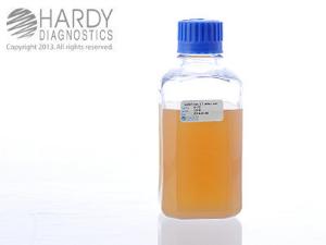 Sabdex (Sabouraud Dextrose) Agar, Hardy Diagnostics