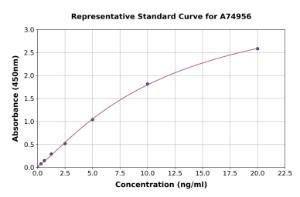 Representative standard curve for Human Pro-Hepcidin ELISA kit (A74956)