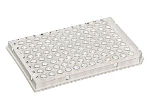 Plate PCR PP ¹/₂ skirt LT cycler