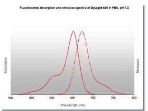 Anti-IgG Rabbit polyclonal antibody (DyLight® 649)