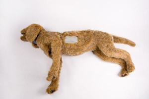 Rescue Critters® K-9 Thoracentesis Manikin