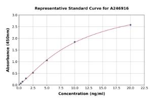 Representative standard curve for Human Kynurenine 3-Monooxygenase ELISA kit (A246916)
