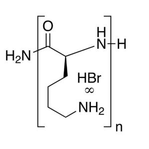 Poly (l-lysine hydrobromide)