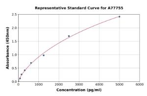 Representative standard curve for Human BMP1/PCP ELISA kit (A77755)