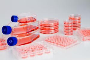 Nunclon™ Sphera™ Microplates, Dishes, and Flasks, Thermo Scientific