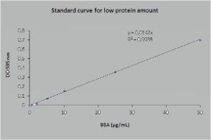 Bradford Protein Assay Kit (B-Pak), OZ Biosciences