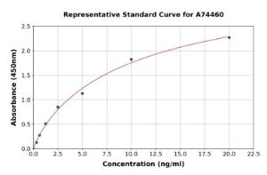 Representative standard curve for Canine TIM 1 ELISA kit (A74460)