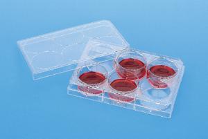 Falcon® Cell Culture Insert Companion Plates, Corning