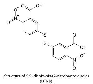 5,5'-Dithiobis(2-nitrobenzoic acid) (Ellmans reagent, DTNB), Molecular Biology Grade