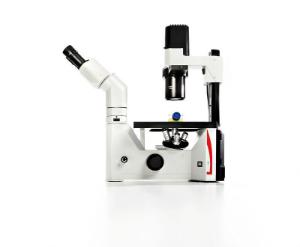 DM IL LED microscope
