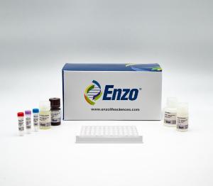 CHO host cell protein ELISA kit