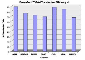DreamFect Gold Transfection Efficiency 1