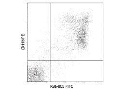 Anti-LY6C1 Rat Monoclonal Antibody (FITC (Fluorescein Isothiocyanate)) [clone: RB6-8C5]