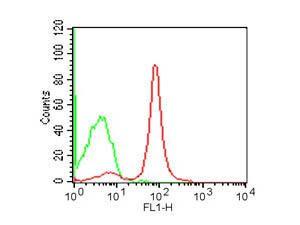 Flow Cytometry - Rat anti-MOUSE CD19 FITC