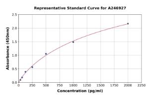 Representative standard curve for Human Caspase-12 ELISA kit (A246927)