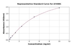 Representative standard curve for Human Mammaglobin A ELISA kit (A74981)