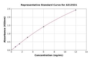 Representative standard curve for mouse Arg2 ELISA kit (A313531)