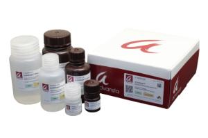 Advansta ELISABright™ Chemiluminescent Substrate for ELISA Applications