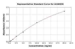 Representative standard curve for Human CD81 ELISA kit (A246930)