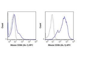 Anti-CD86 Rat Monoclonal Antibody (FITC (Fluorescein Isothiocyanate)) [clone: GL-1]